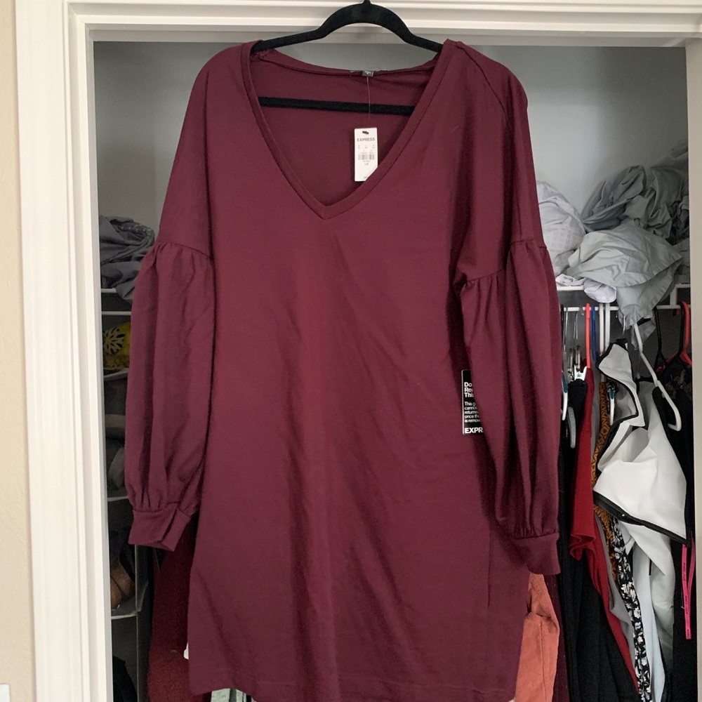 Plum Express Dress